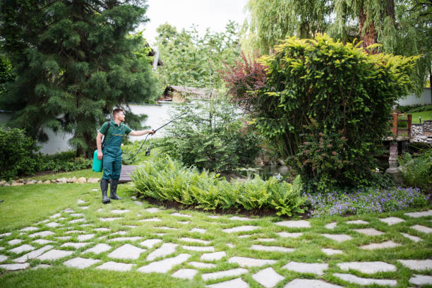 Lawn Pest Prevention in Fox Lake Hills, IL